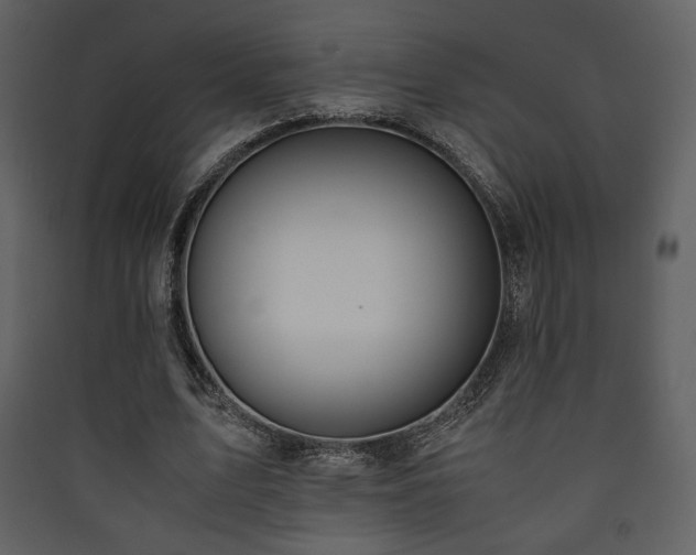 X0000090410583200707131149
