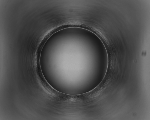 X0000090410584200707131149