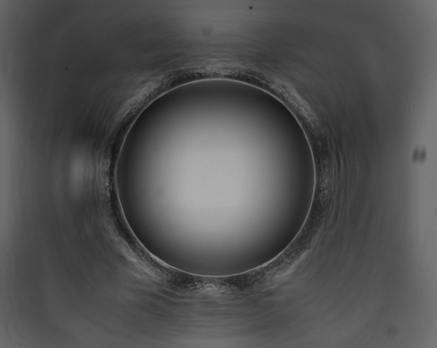 X0000090410585200707131149