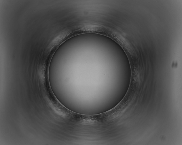 X0000090410586200707131149