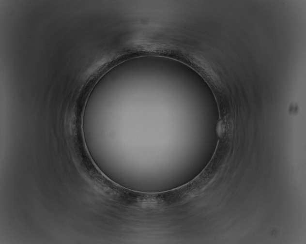 X0000090410587200707131149