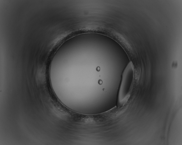 X0000090410588200707131149