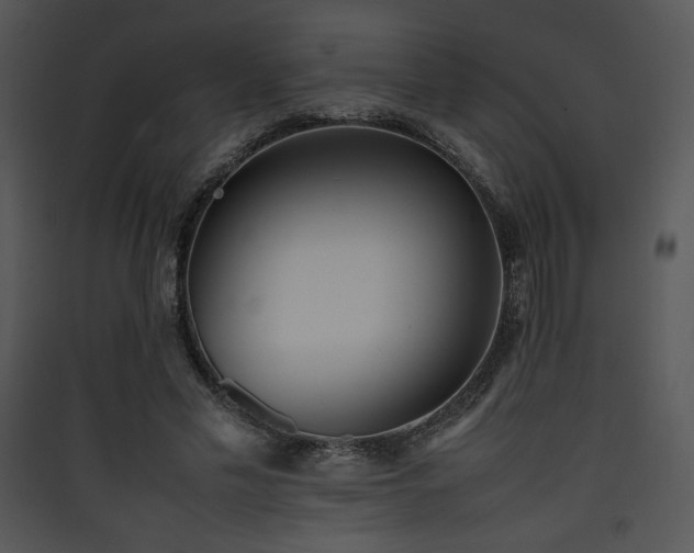 X0000090410589200707131149