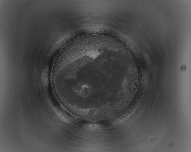 X0000090410590200707131149