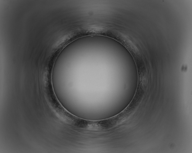 X0000090410591200707131149