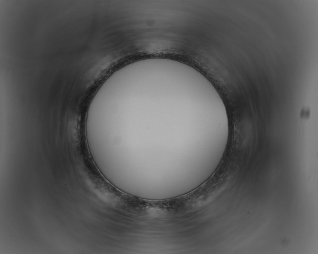 X0000090410592200707131149