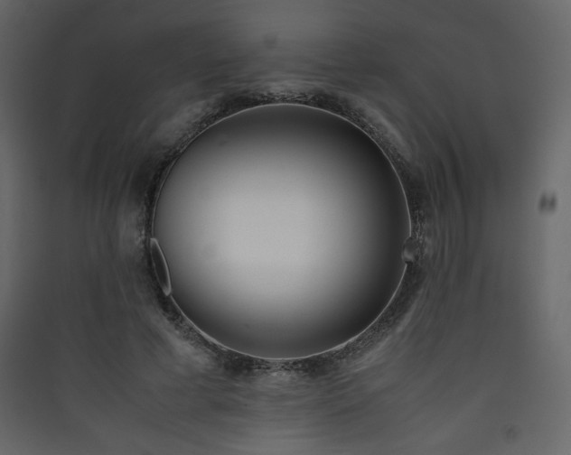 X0000090410593200707131149