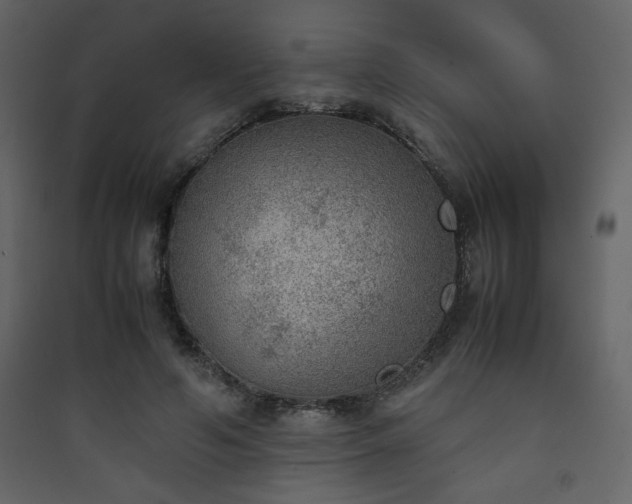 X0000090410594200707131149