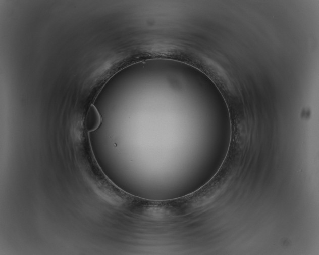 X0000090410596200707131149