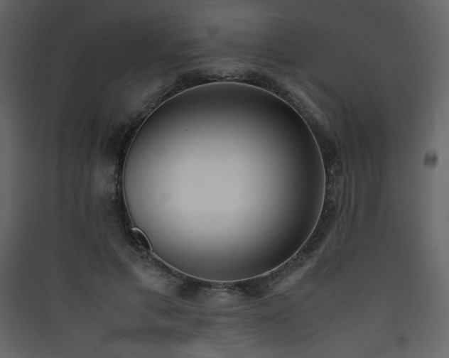 X0000090410597200707131149