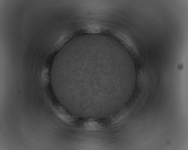 X0000090410598200707131149