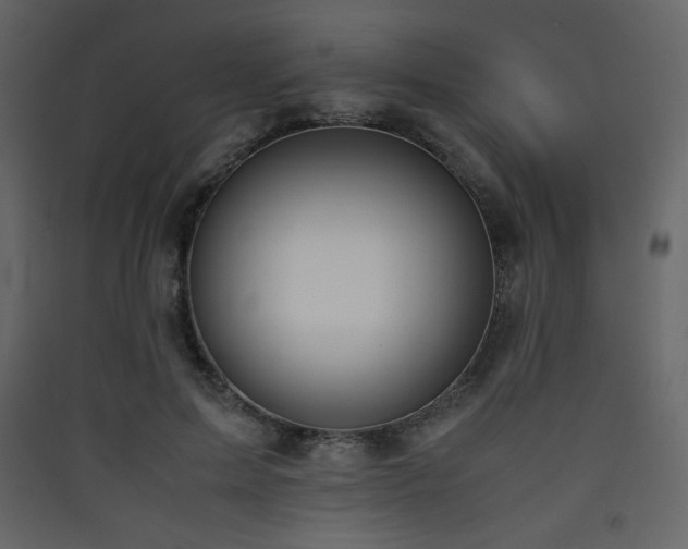 X0000090410599200707131149