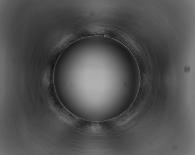X0000090410600200707131149