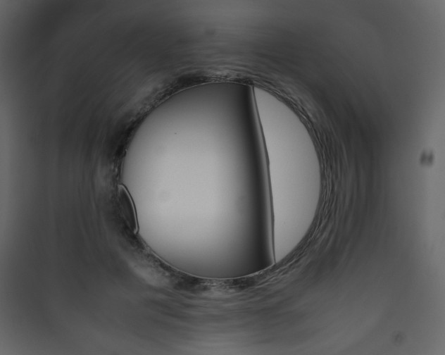 X0000090410601200707131149