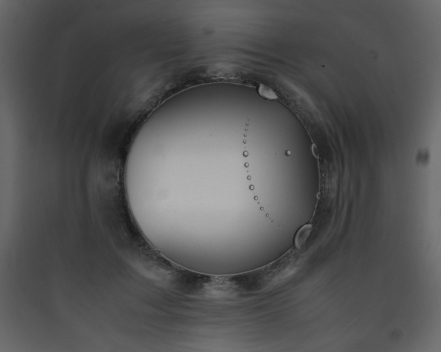 X0000090410603200707131149