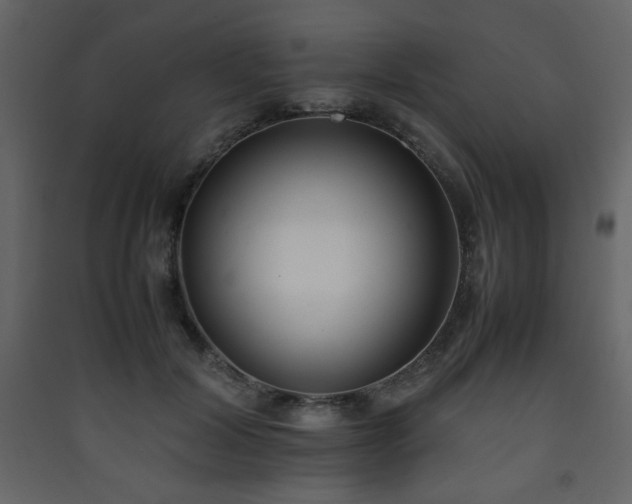 X0000090410604200707131149