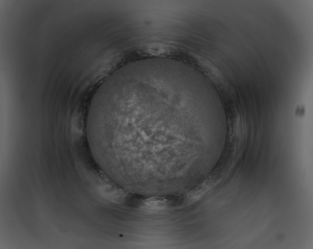 X0000090410606200707131149