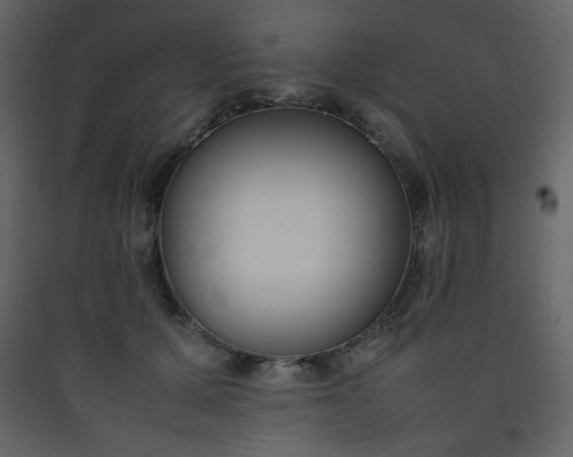 X0000090410607200707131149