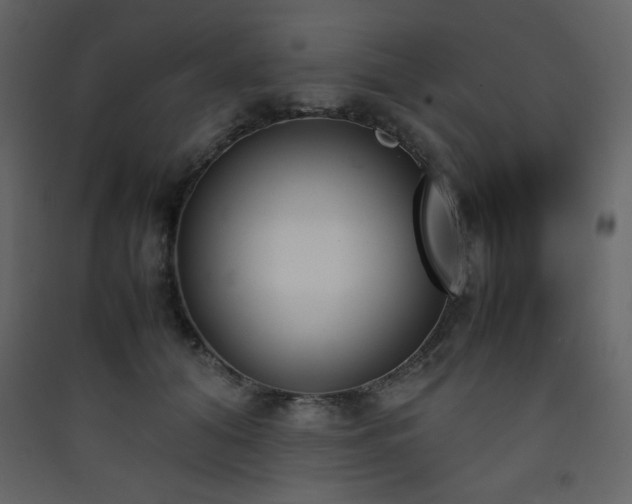 X0000090410608200707131149
