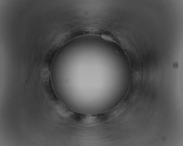 X0000090410609200707131149