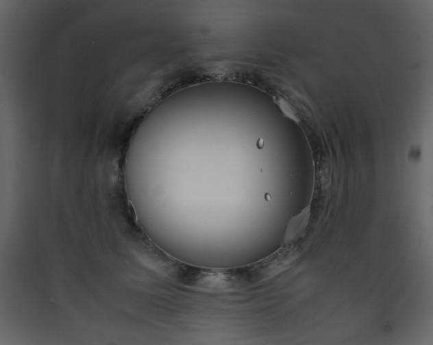 X0000090410611200707131149