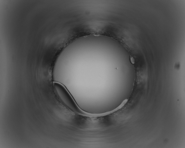 X0000090410613200707131149