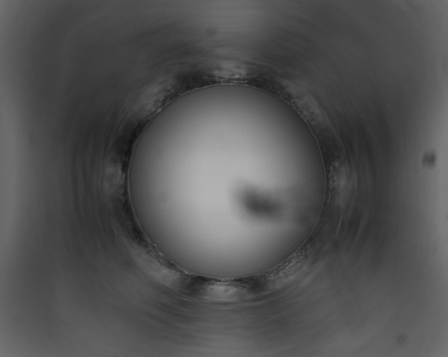 X0000090410614200707131149