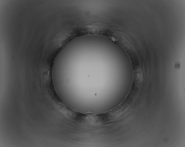 X0000090410615200707131149