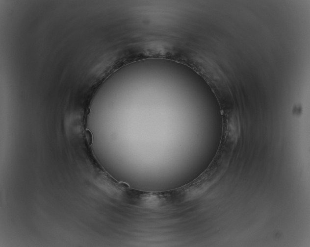 X0000090410616200707131149