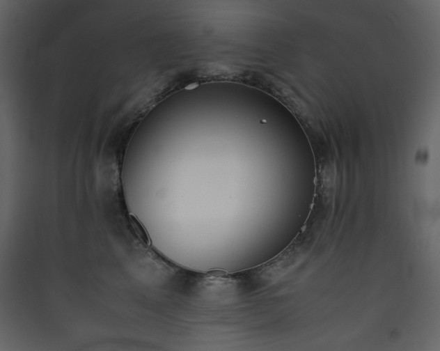X0000090410617200707131149
