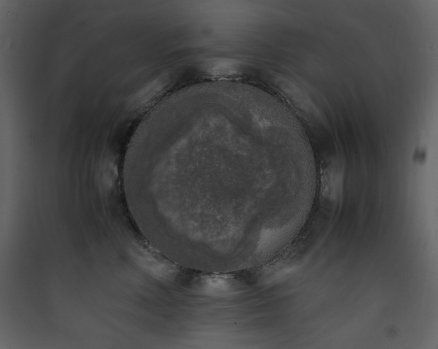 X0000090410618200707131149