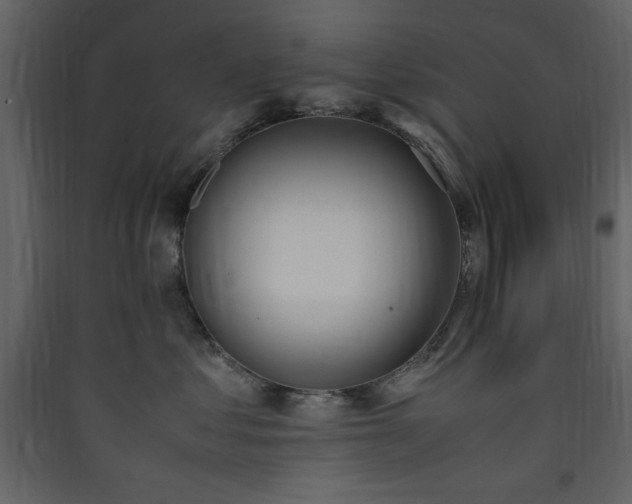 X0000090410621200707131149