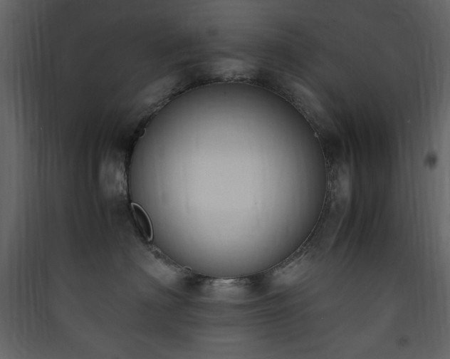 X0000090410622200707131148