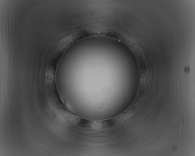 X0000090410623200707131148