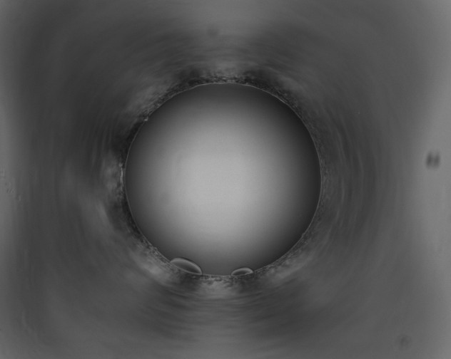 X0000090410624200707131148