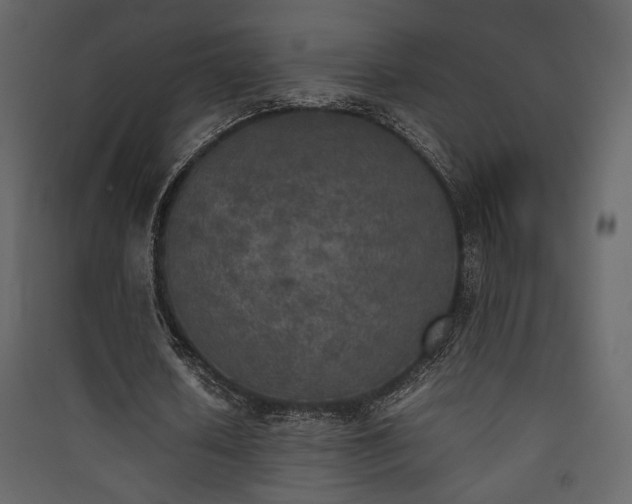 X0000090410626200707131148
