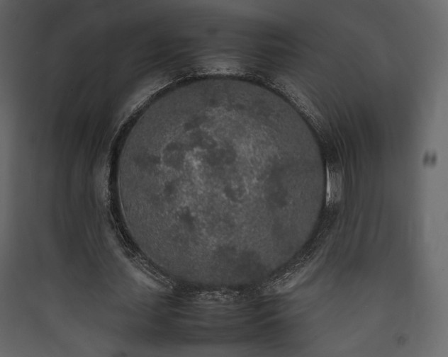 X0000090410627200707131148