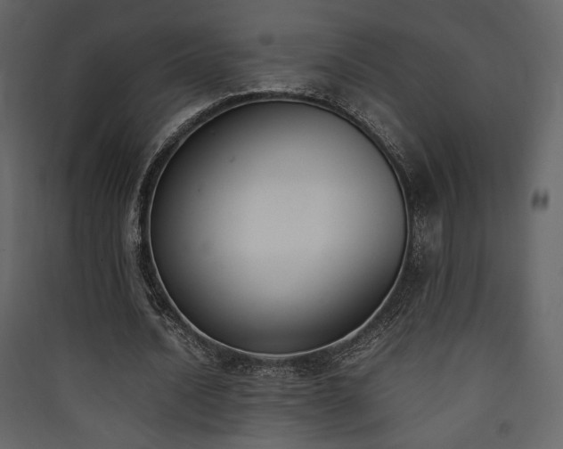 X0000090410628200707131148