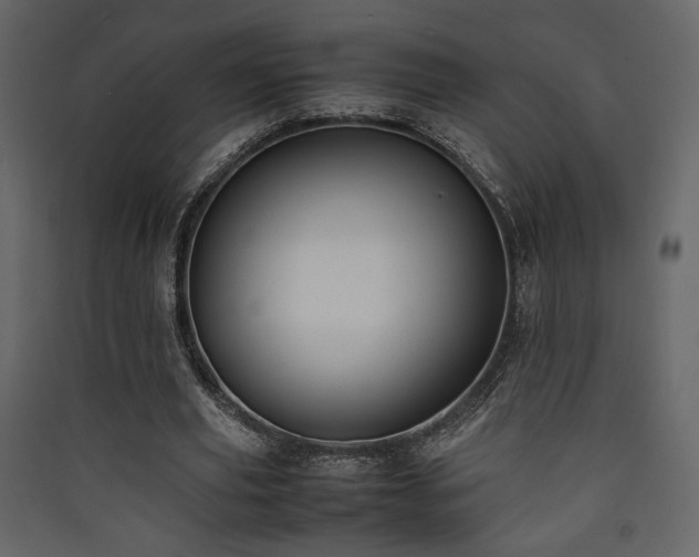 X0000090410629200707131148