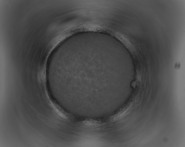 X0000090410630200707131148