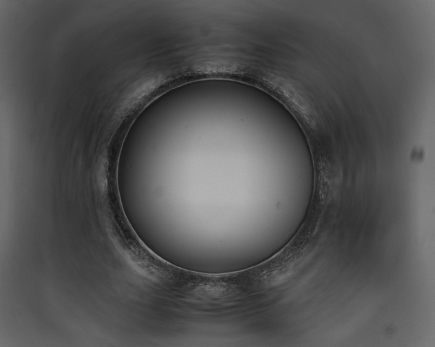 X0000090410631200707131148