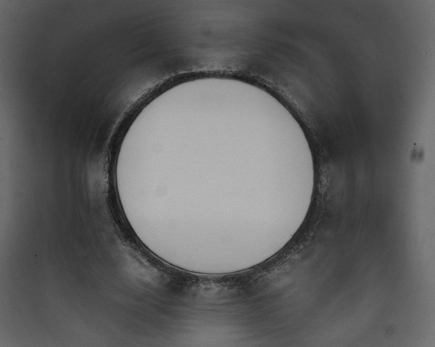 X0000090410632200707131148