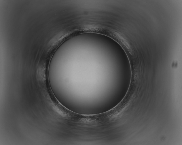 X0000090410633200707131148