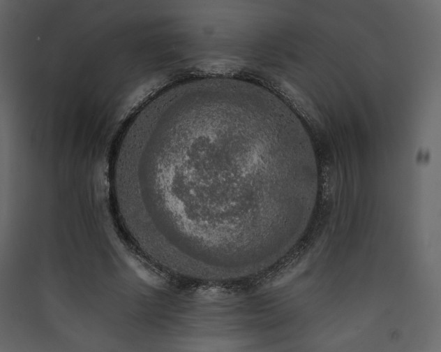X0000090410634200707131148