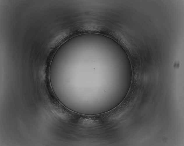 X0000090410635200707131148