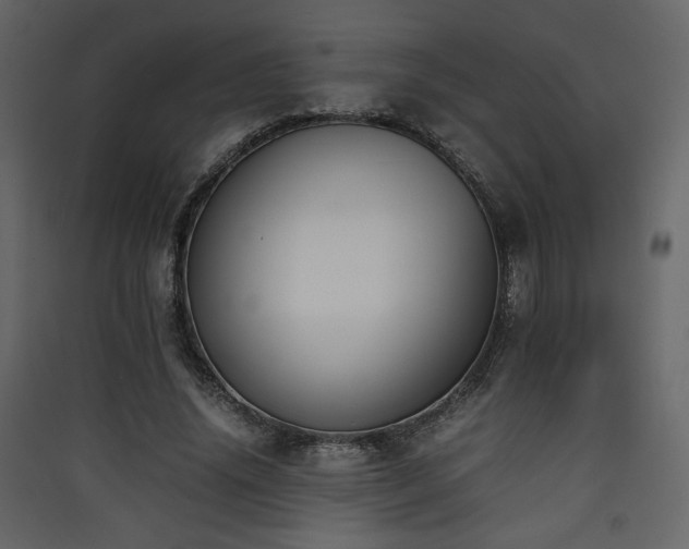 X0000090410636200707131148