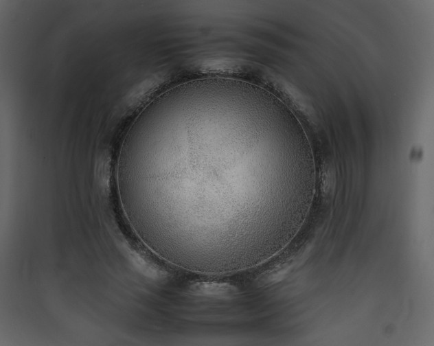 X0000090410637200707131148