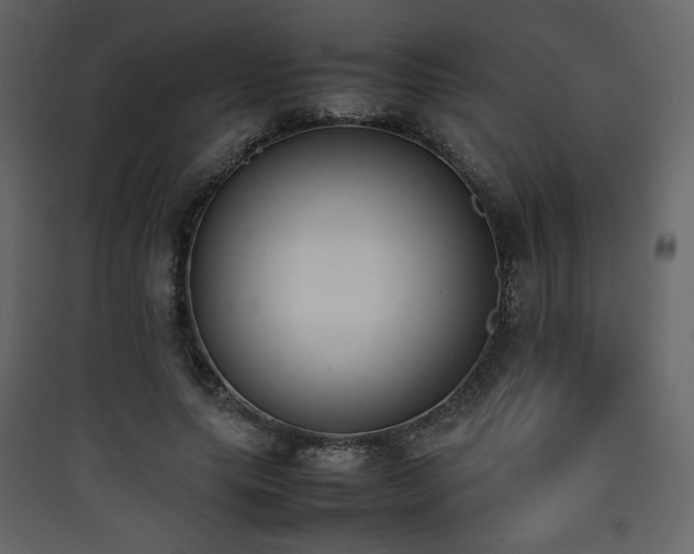 X0000090410639200707131148