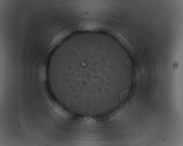 X0000090410640200707131148