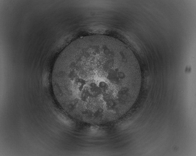 X0000090410641200707131148